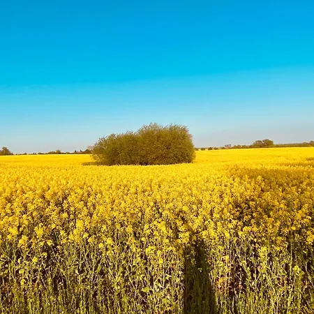 בית נופש Haus Sansibar Auf Mit Sauna& Kamin, Ruhigem Garten-700m Vom Strand! *